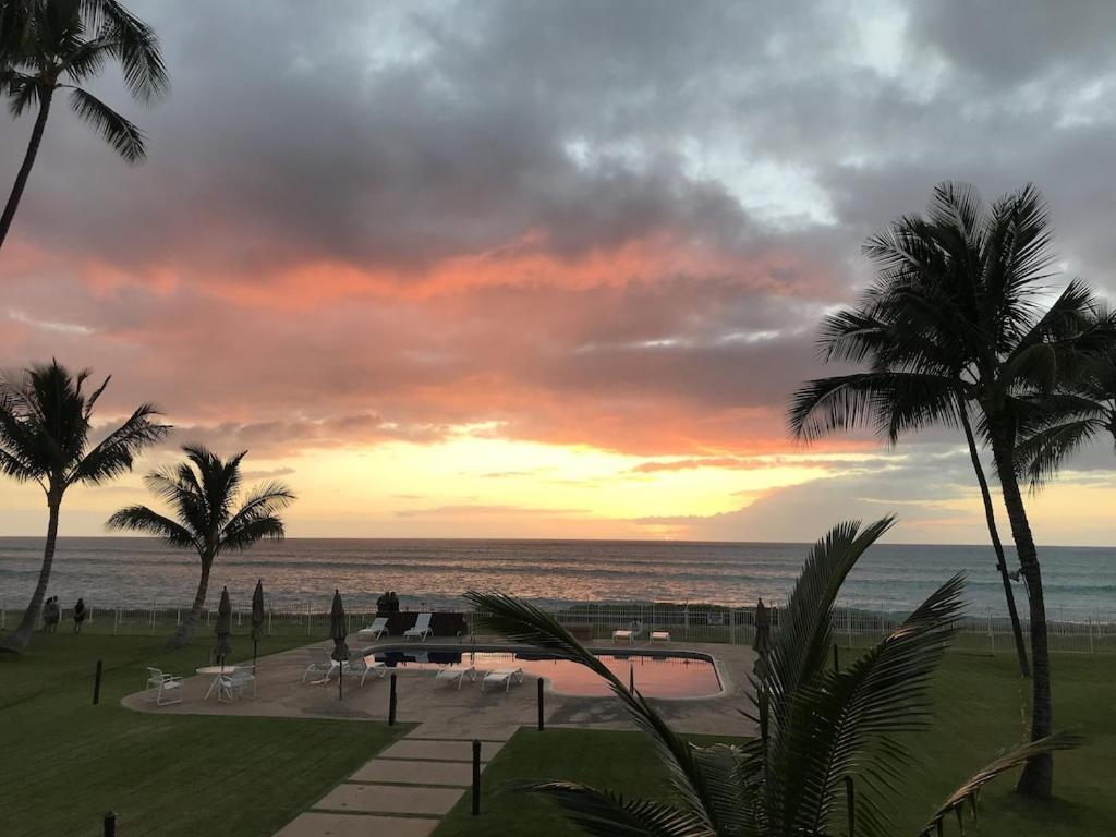 ***Serendipity On The Moana - Legal & Oceanfront - Great For Work & Play!*** Waianae Exterior photo